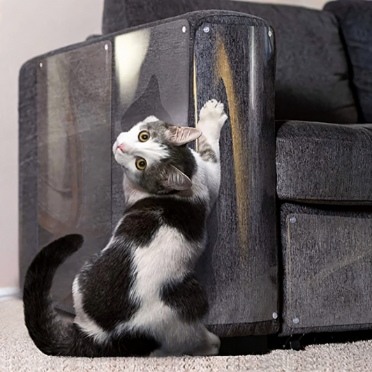 ScratchGuard