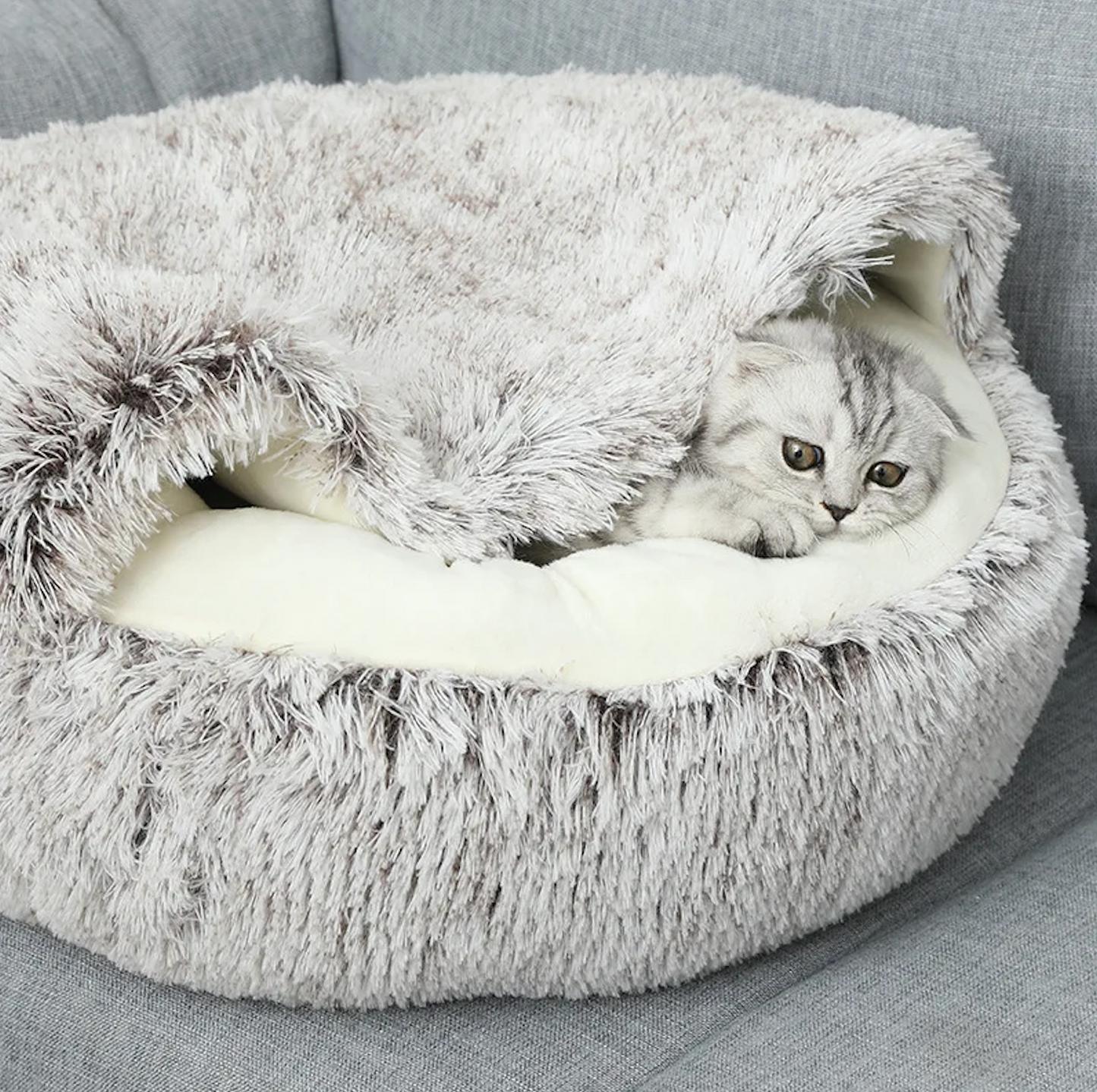 Fluffy – mehr als nur ein Katzenbett