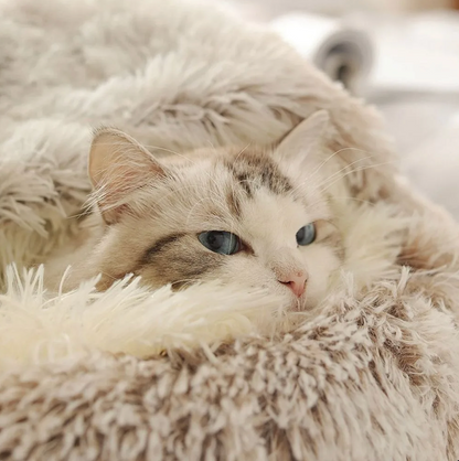 Fluffy – mehr als nur ein Katzenbett